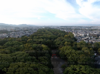 下鴨神社180度パノラマsum透かし.jpg